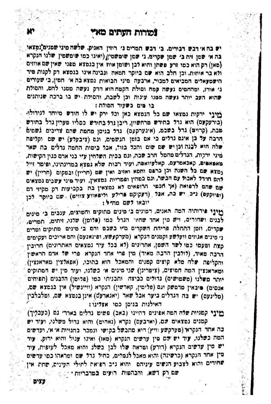 מקמניץ, קורות העתים — הספר המלא — עמוד 21